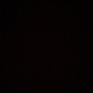 Meet your Posher, Shari